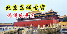 操逼网站插逼中国北京-东城古宫旅游风景区